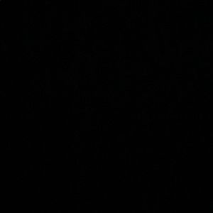 Meet your Posher, Tessa